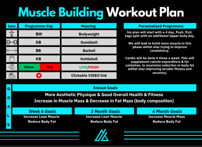 Custom Made Workout Plan
